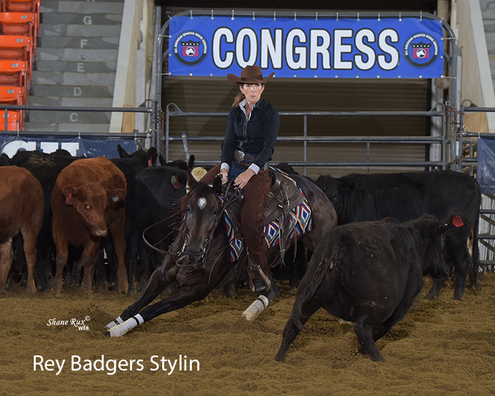 Lisa Johnson on Rey Badgers Stylin at the 2021 Quarter Horse Congress